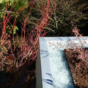 Noe Valley Roof Garden