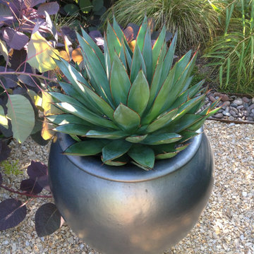 Plant Passion Garden