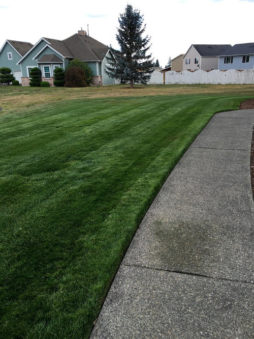 Identifying types of grass (WA State, Pacific Northwest)