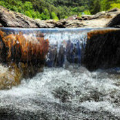 Anthony Coggins's photo