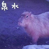 Sensui Koichiro's photo