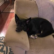 Kristen Rivera's photo