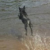 Wiley Speidermanns billede