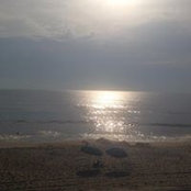 Paul Rohleder's photo