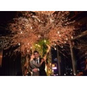 Arash Nikamal's photo