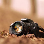 Jack VN's photo