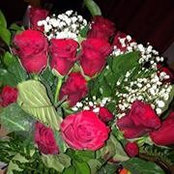 Lisa Osier's photo