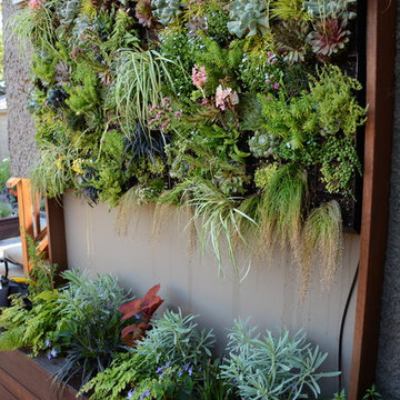 Raised Vegetable / Ornamental Garden 2015