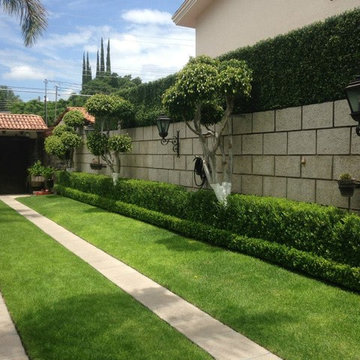 Ranka Lasting Greenery