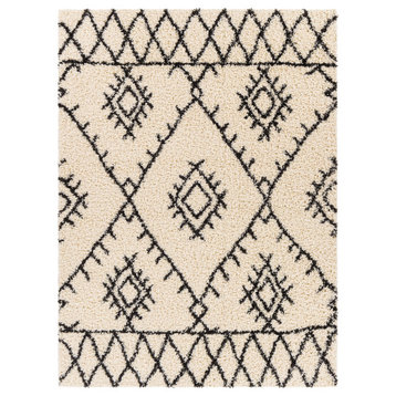 Beni shag BSH-2303 Scandinavian Black/Cream 5'3"x7' Area Rug