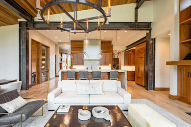 Inspiration for a rustic living room remodel in Other
