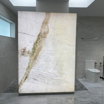 Bathroom Divider (shower)