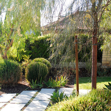 Drought Tolerant Landscape in Eagle Rock, CA