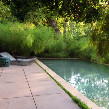 2015 Garden Dialogues: Los Angeles/Santa Monica, Hightree, May 30