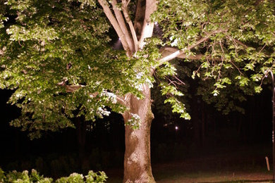 Inspiration for a traditional landscaping in New York.