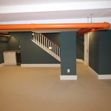 Bryn Mawr Basement Renovation