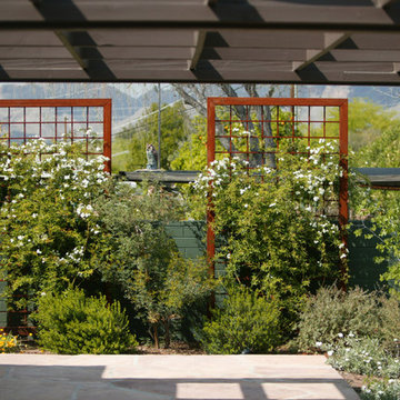 Residential Landscapes