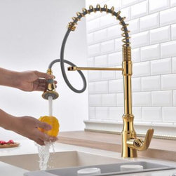 Pull Out Kitchen Faucet Golden Printed Spring Kitchen Sink Faucet TG0110P - Kitchen Faucets