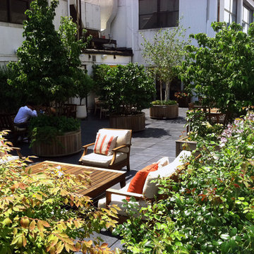 Midtown Office Rooftop