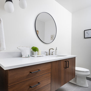 Cohesive Mid-Century Modern Interior Remodel in Ann Arbor, Michigan