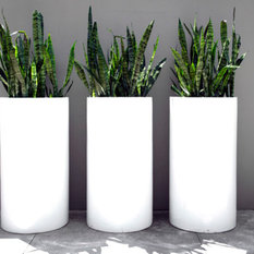 50 Most Por Contemporary Outdoor Planters For 2018 Houzz Australia Contemporary Lightweight Tall Cylinder Outdoor Pots And Planters