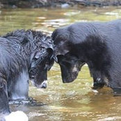 Foto von Barb Butler