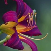 Deb Tadlock's photo