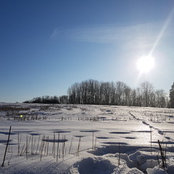 Linda Lejiņa's photo