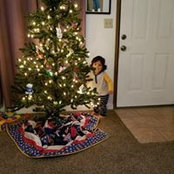 Sherry Stein's photo