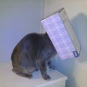 Dina Coates's photo