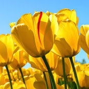 Catherine Deering's photo