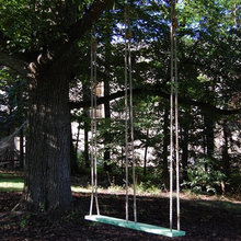 tree swing