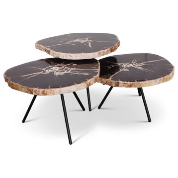 Relique Jeno Nesting Coffee Table Set of 3 Natural Dark