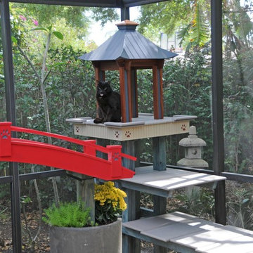 Florida Catio renovation