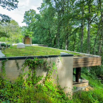 Sub-Level Home