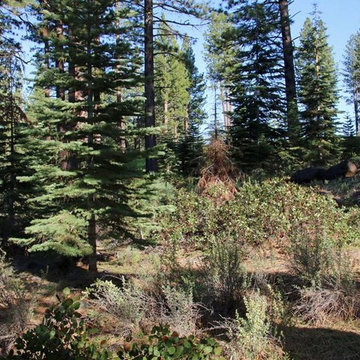Lot for Sale - 307 James McIver, Lahontan Subdivision