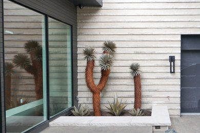 Idée de décoration pour un jardin sud-ouest américain.