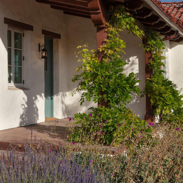 Montecito Phoenix rise from the ashes