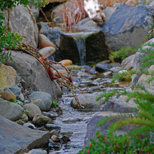 Dry Creek Beds or Streams for EDC