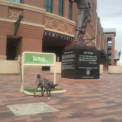 Pet Products for Pet Friendly Businesses - Outdoor Decor