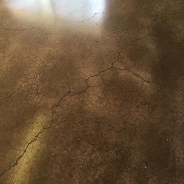 Polished and Stained Concrete Floor