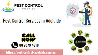Pest Control Services in Bellara, QLD
