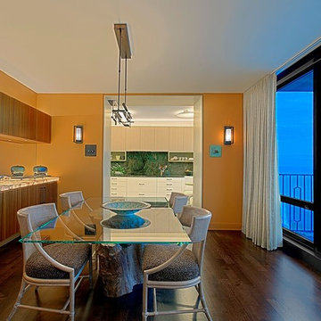 Chicago Condo Full Remodel