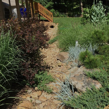 Drainage ditch turned creek bed/meadow garden