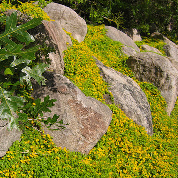 Rock Retaining Walls