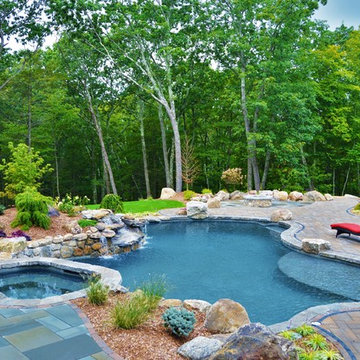Freeform Pool with Spa Combo 2017
