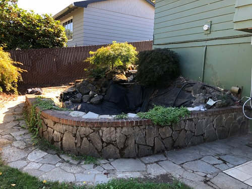 Converting a fish pond to garden