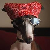 Foto de Tracey Cottrell