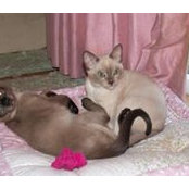 Carol Gallagher's photo