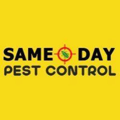 Best Pest Control Adelaide